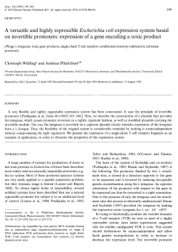 A versatile and highly repressible Escherichia coli expression