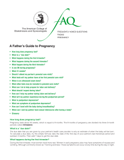 FAQ032 -- A Father`s Guide to Pregnancy