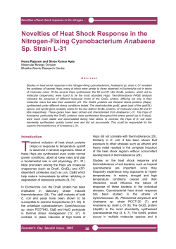 Novelties of Heat Shock Response in the Nitrogen-Fixing