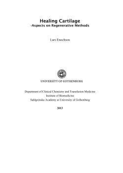 Healing Cartilage