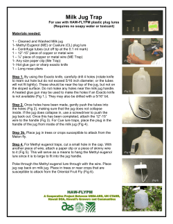 Milk Jug Trap - extento.hawaii.edu