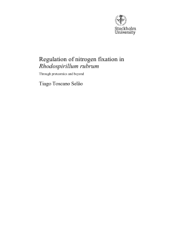 Regulation of nitrogen fixation in Rhodospirillum rubrum