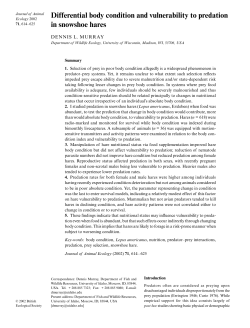Differential body condition and vulnerability to predation in