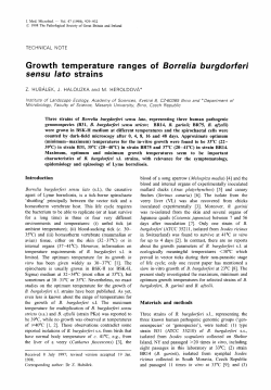 Growth temperature ranges of Borrelia burgdorferi sensu lato strains