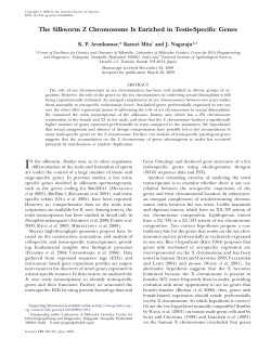 The Silkworm Z Chromosome Is Enriched in Testis