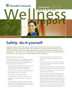 Wellness Report Q3-07 E:Wellness Report Q3-07 E