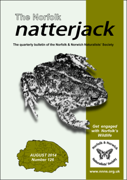 Natterjack - Norfolk and Norwich Naturalists` Society
