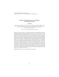 67 Diagnostic Ultrasonography in Cattle and Buffaloes with