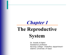 Chapter 1 The Reproductive System