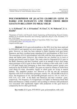 lacto globulin gene in barki and damascus and their crossbred goats