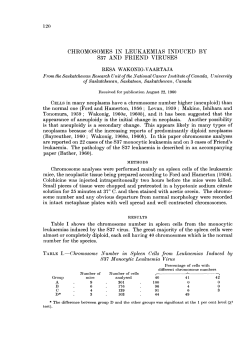 chromosomes in leukaemias induced by s37 and friend