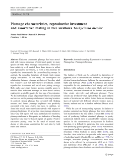 Plumage characteristics, reproductive investment and