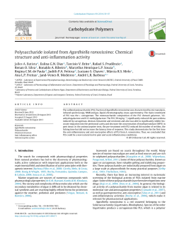 Polysaccharide isolated from Agardhiella ramosissima: Chemical