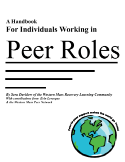 A Handbook for Individuals Working in Peer Roles