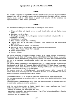 Specification of GRANA PADANO DOP