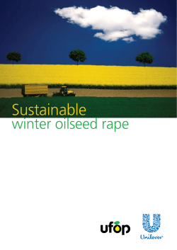 Sustainable winter oilseed rape (2007)