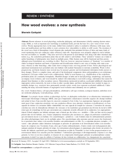 How wood evolves: a new synthesis