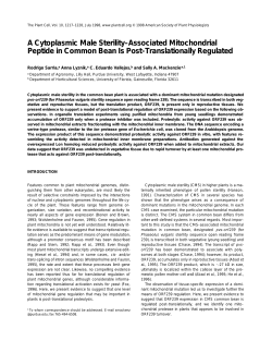 A Cytoplasmic Male Sterility&ndash;Associated