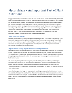 Mycorrhizae &ndash; An Important Part of Plant Nutrition!