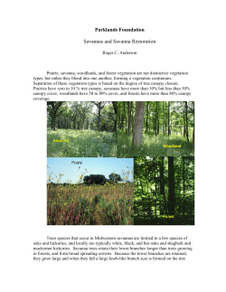 Savanna refers to a transition vegetation type between prairies and