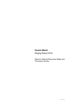Oxwich Marsh Ringing Report 2016