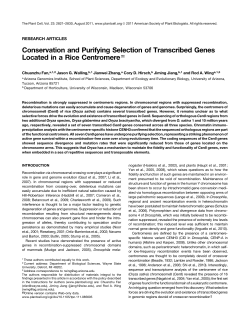 Conservation and Purifying Selection of Transcribed Genes Located