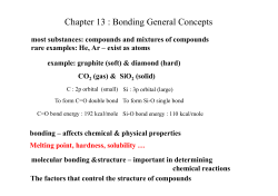 Chapter 13