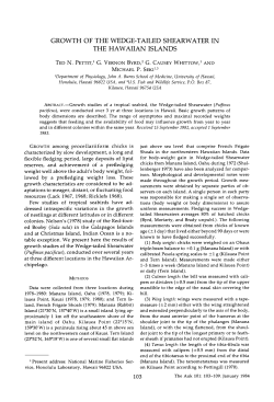 growth of the wedge-tailed shearwater in the hawaiian islands