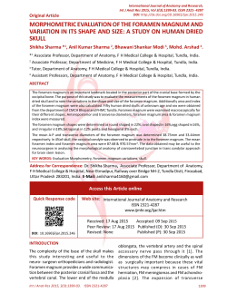 morphometric evaluation of the foramen magnum and