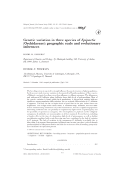 Genetic variation in three species of Epipactis (Orchidaceae