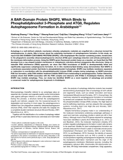 A BAR-Domain Protein SH3P2, Which Binds to