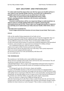 key anatomy and physiology