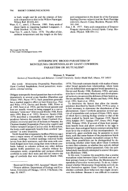 Interspecific Brood Parasitism of Montezuma Oropendolas by Giant