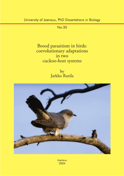 Brood parasitism, cuckoo