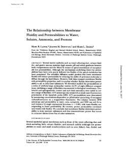 The Relationship between Membrane Fluidity and Permeabilities to