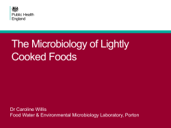 The Microbiology of Lightly Cooked Foods