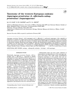 Taxonomy of the western European endemic Asparagus prostratus