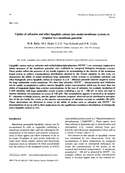 M.B. Bally, M.J. Hope, C.J.A. van Echteld and P.R. Cullis. Uptake of