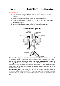 Physiology Lec :6