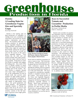 Greenhouse Production in Florida