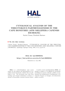 cytological analysis of the thelytokous parthenogenesis in the cape