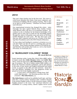 cemetery rose march 2014.pub