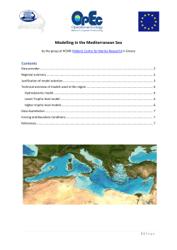 Modelling in the Mediterranean Sea