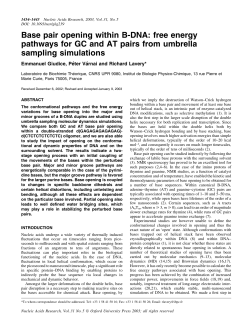 Base pair opening within B-DNA: free energy pathways for GC and