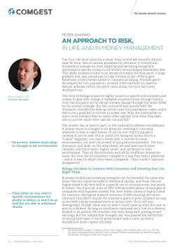 an approach to risk