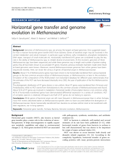 Horizontal gene transfer and genome evolution in Methanosarcina
