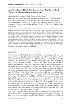 Growth and mortality of flagellates and non