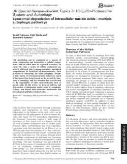 JB Special Review&mdash;Recent Topics in Ubiquitin