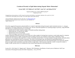 Creation of Porosity in Tight Shales during Organic Matter