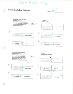 Ch 8 Review Worksheets